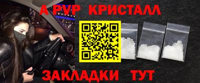 spice Кингисепп