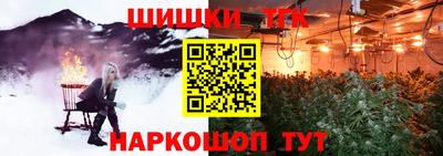 spice Кингисепп